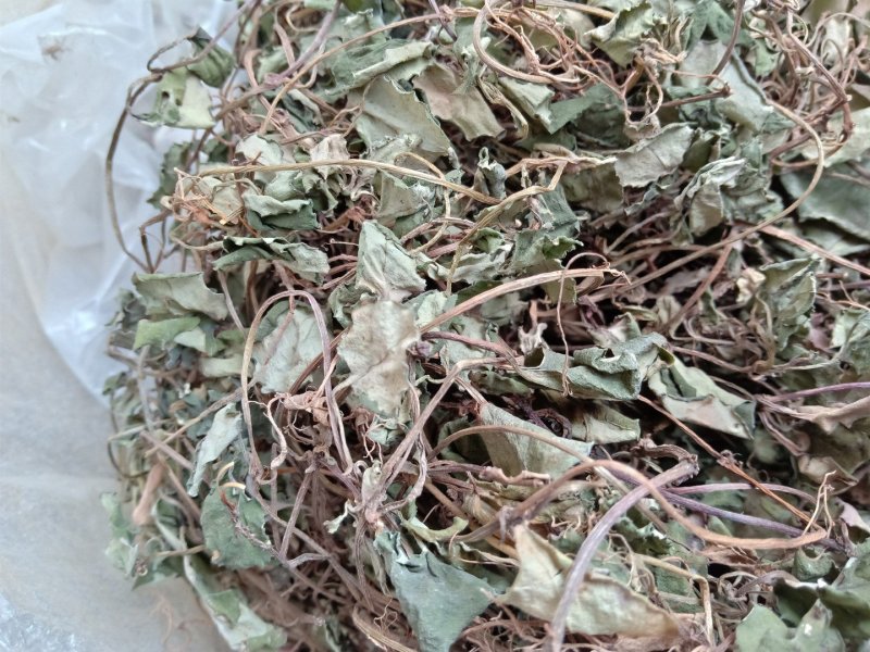 大叶野生金钱草全草干货今年新货
