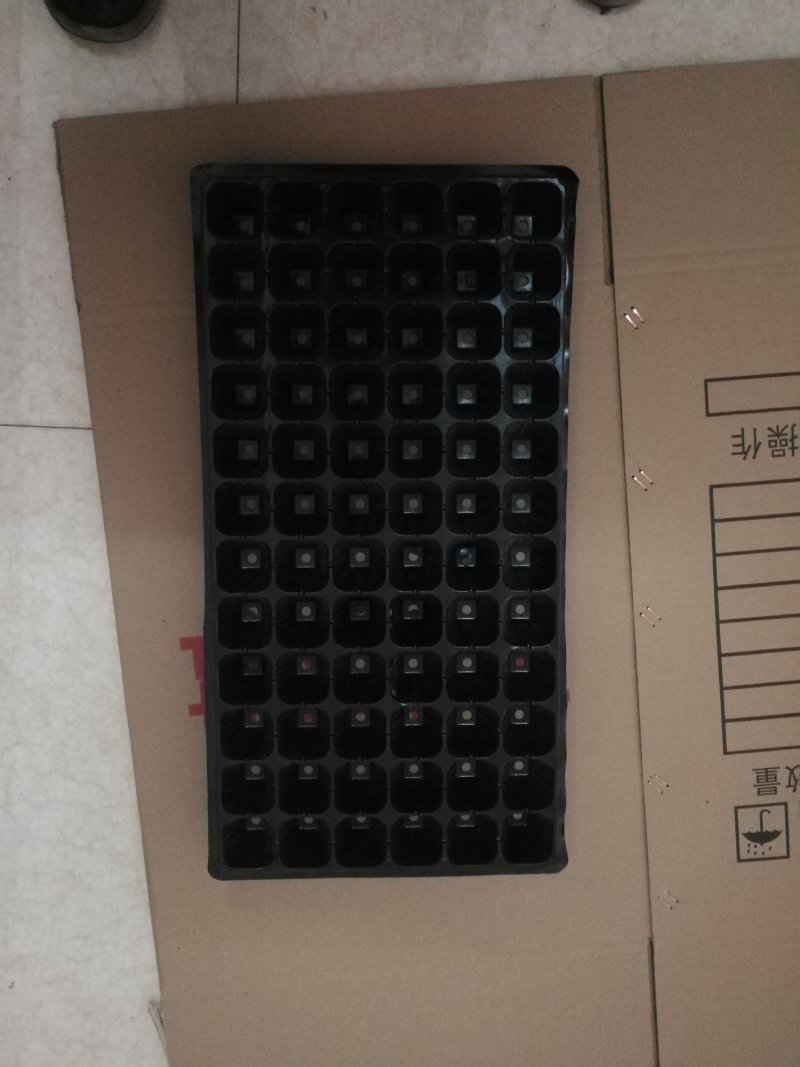 穴盘育苗盘32孔50孔72孔