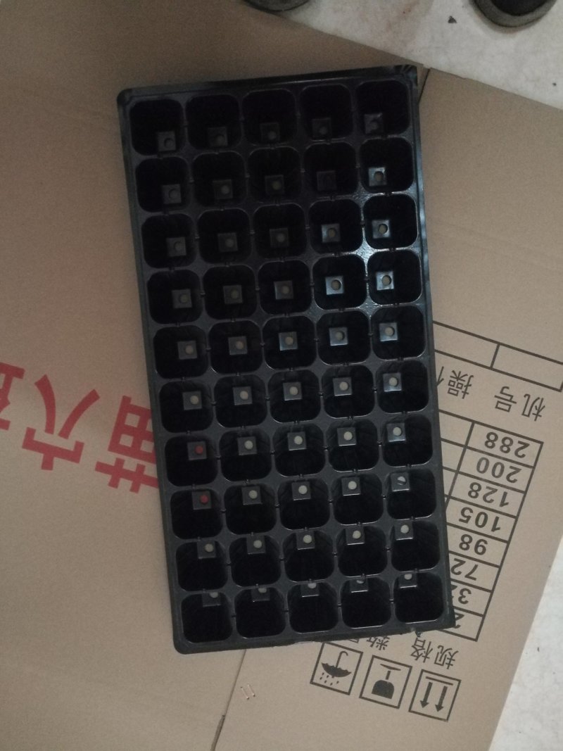 穴盘育苗盘32孔50孔72孔