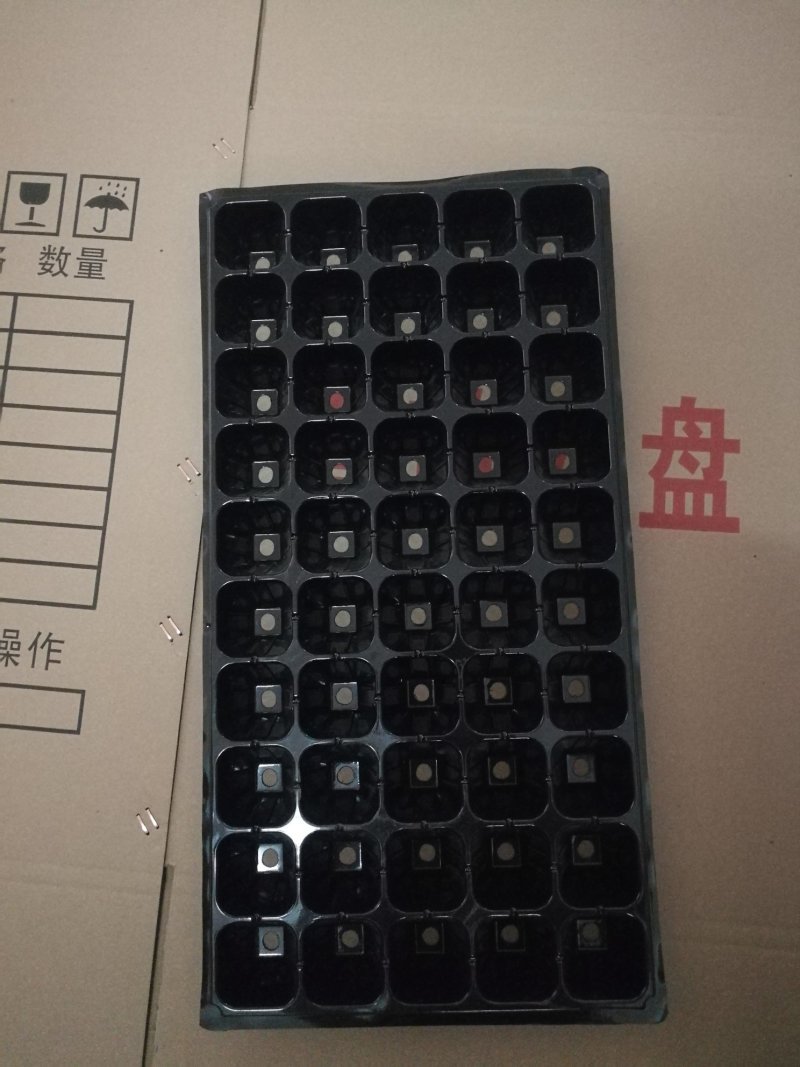 穴盘育苗盘32孔50孔72孔