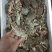 花盖蟹，一箱十斤，一两以上规格。
