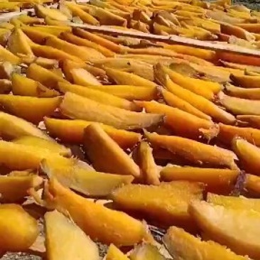 地瓜干口味甜美条状地瓜干湖南彬州供应基地