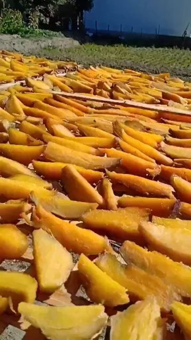 地瓜干口味甜美条状地瓜干湖南彬州供应基地