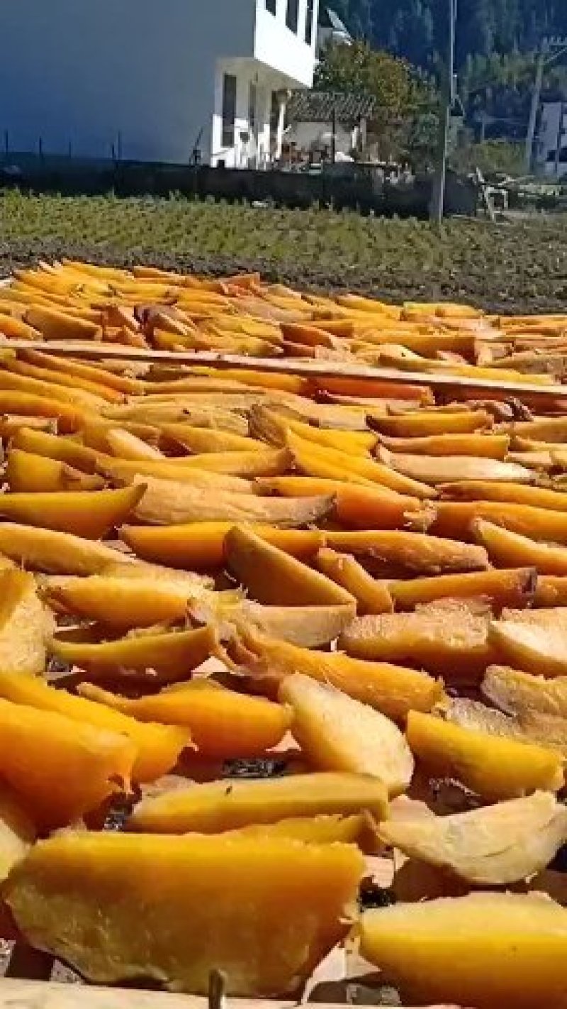 地瓜干口味甜美条状地瓜干湖南彬州供应基地