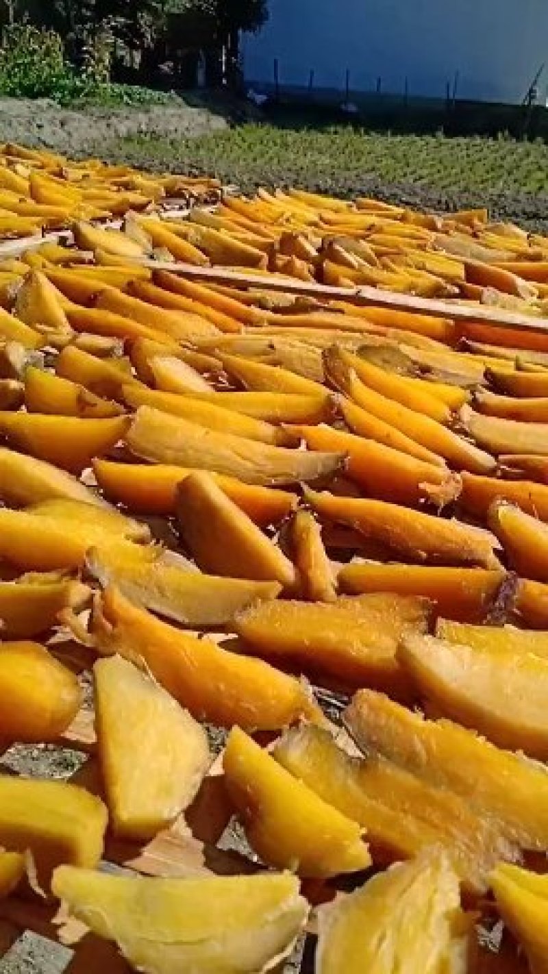 地瓜干口味甜美条状地瓜干湖南彬州供应基地