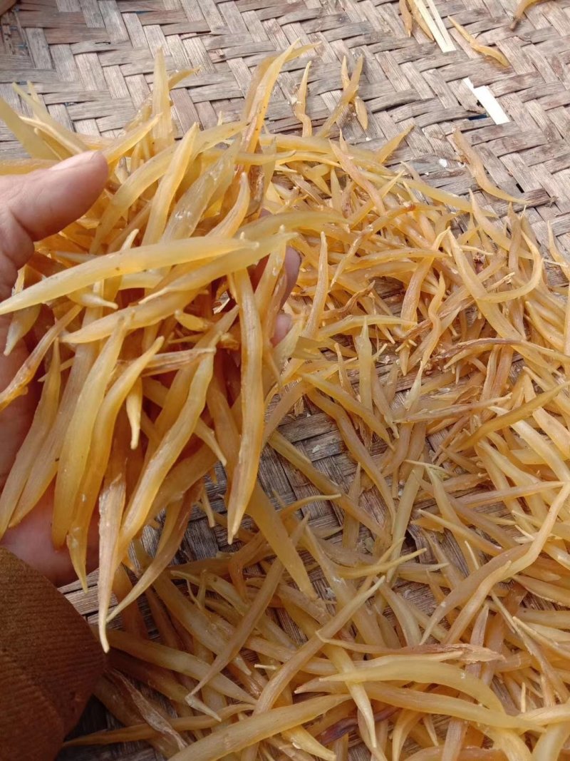 野生天冬