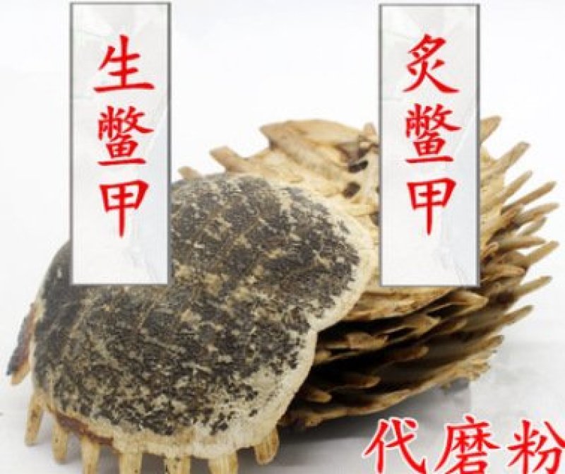 鳖甲纯净晒干专营中药品质保证一手货源