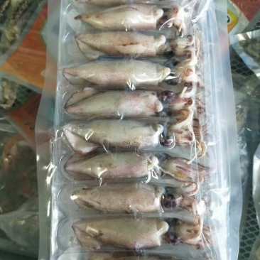 大籽乌海兔笔管鱼冷冻冻食海鲜中秋礼品