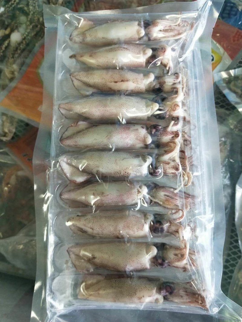 大籽乌海兔笔管鱼冷冻冻食海鲜中秋礼品