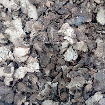 茯苓皮1公斤起批不包邮量大电议欢迎咨询