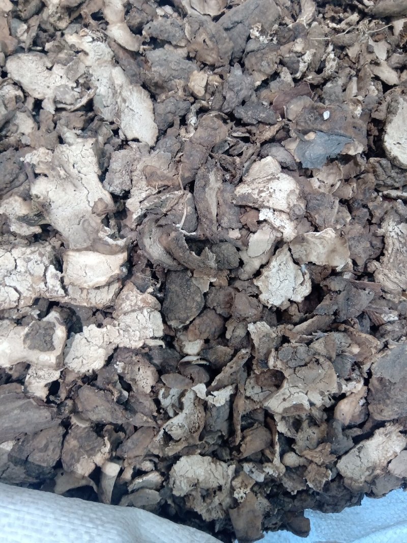 茯苓皮1公斤起批不包邮量大电议欢迎咨询