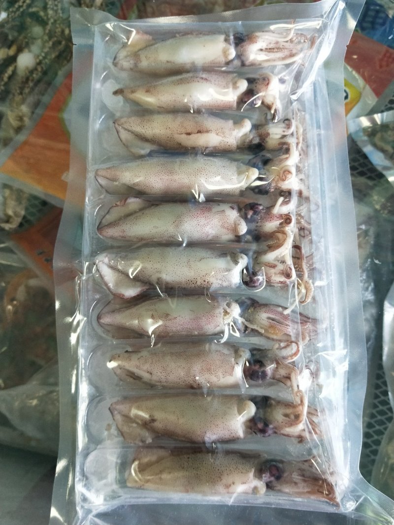 大籽乌海兔笔管鱼冷冻冻食海鲜中秋礼品