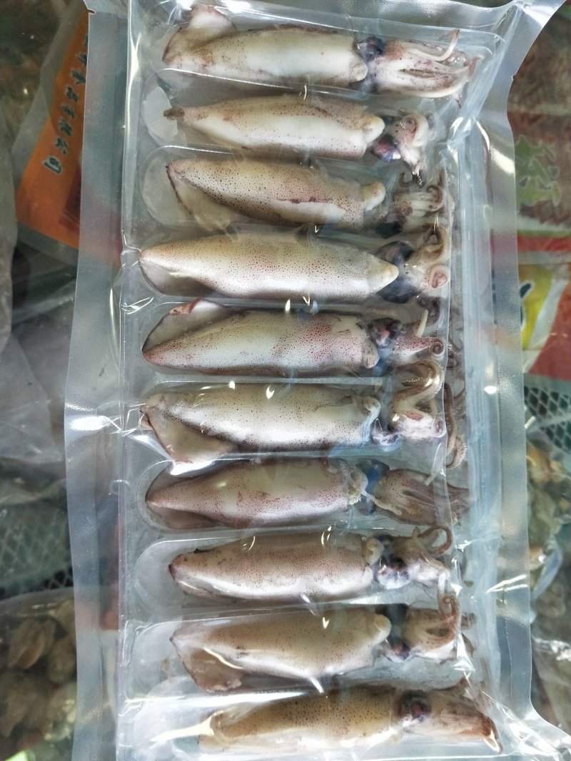 大籽乌海兔笔管鱼冷冻冻食海鲜中秋礼品