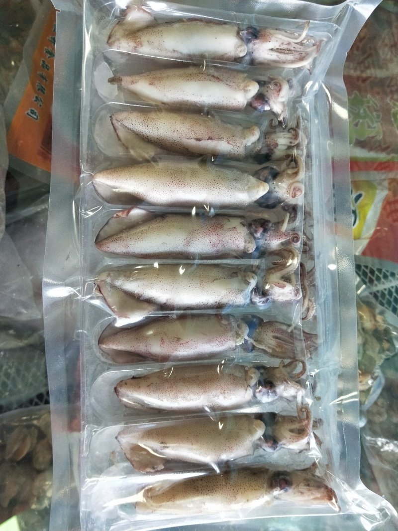 大籽乌海兔笔管鱼冷冻冻食海鲜中秋礼品
