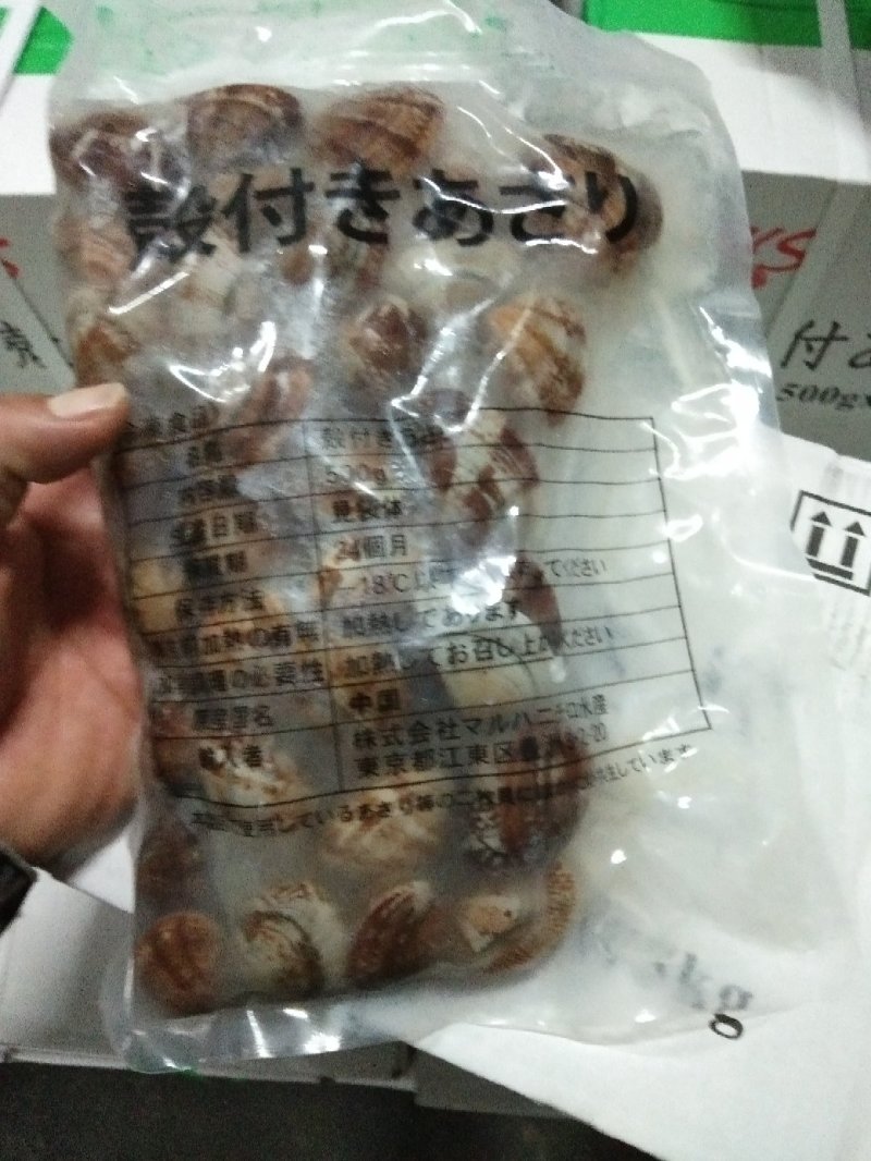 沙蚬子，吐沙真空包装，一箱二十袋，31/40规格。