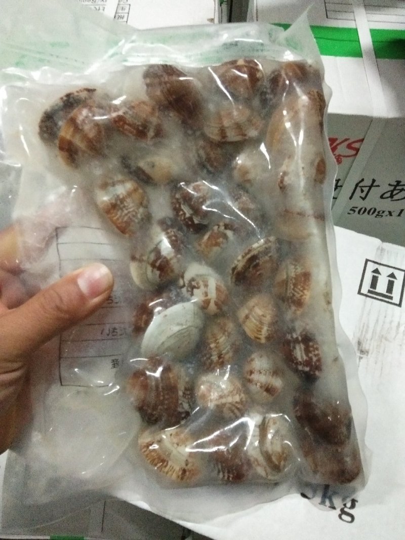 沙蚬子，吐沙真空包装，一箱二十袋，31/40规格。