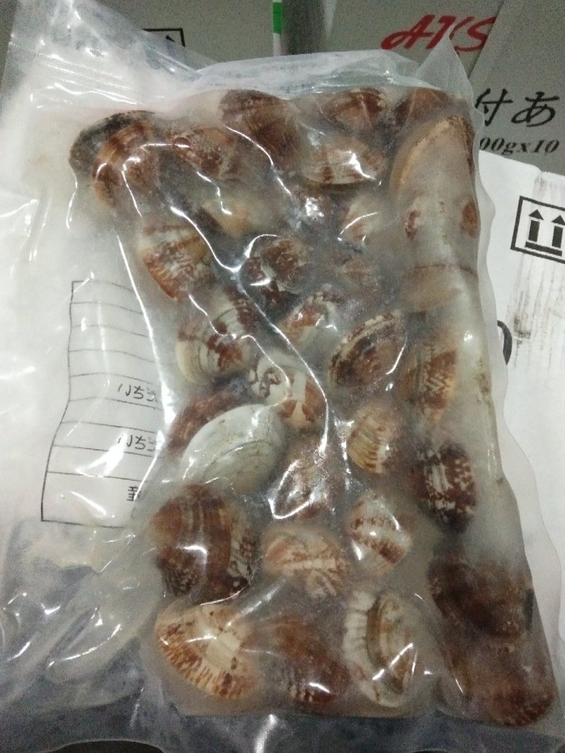沙蚬子，吐沙真空包装，一箱二十袋，31/40规格。