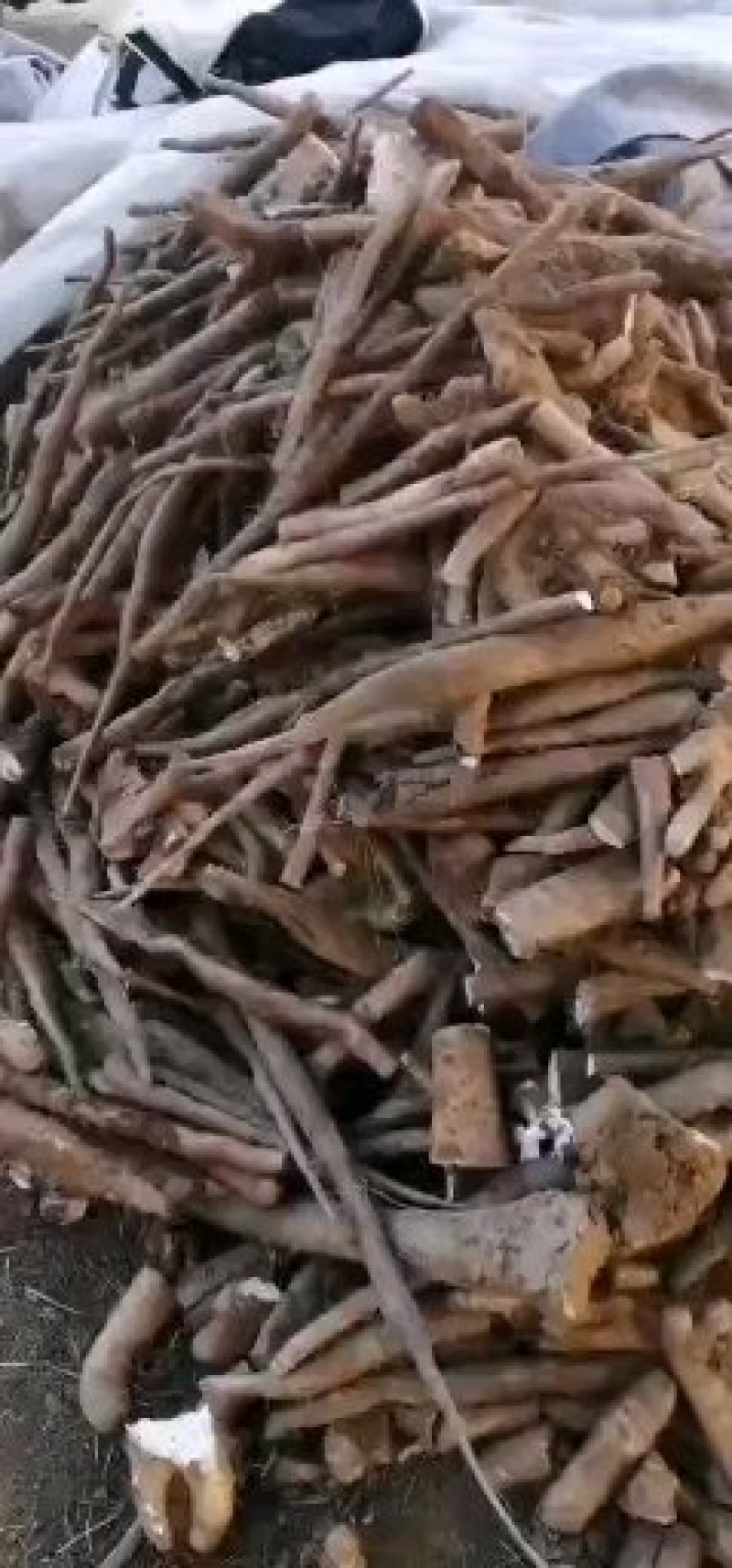 白玉小山药质量好现货供应（小块小头看货定价）