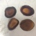 精品梅花鹿鹿茸腊片，半腊片，新西兰腊片，半腊片