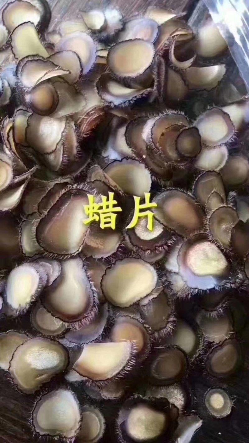 精品梅花鹿鹿茸腊片，半腊片，新西兰腊片，半腊片