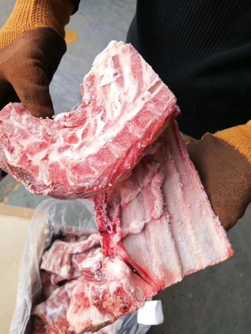 一手货源羔羊多肉槽骨也叫方肩骨，肉多不带胸边，常年供应