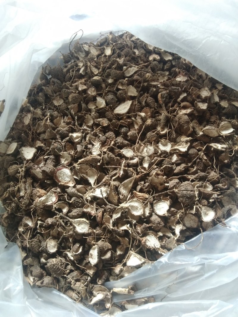 鸡头薯