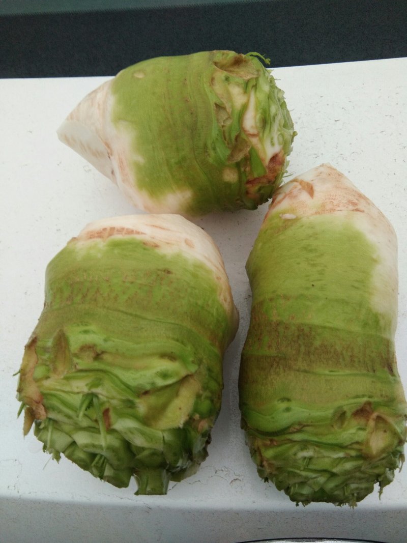 儿菜，棒菜，大头菜