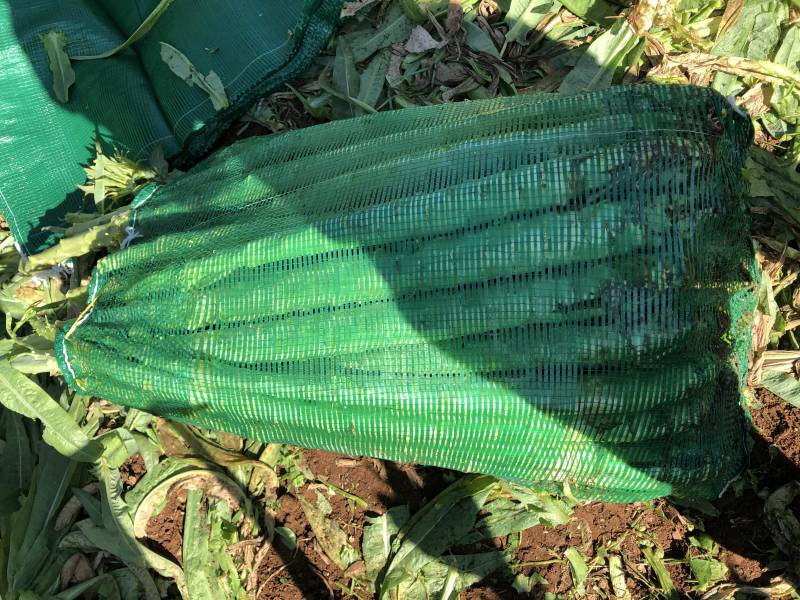 大理宾川贡菜粗度3-6cm长度40cm起步