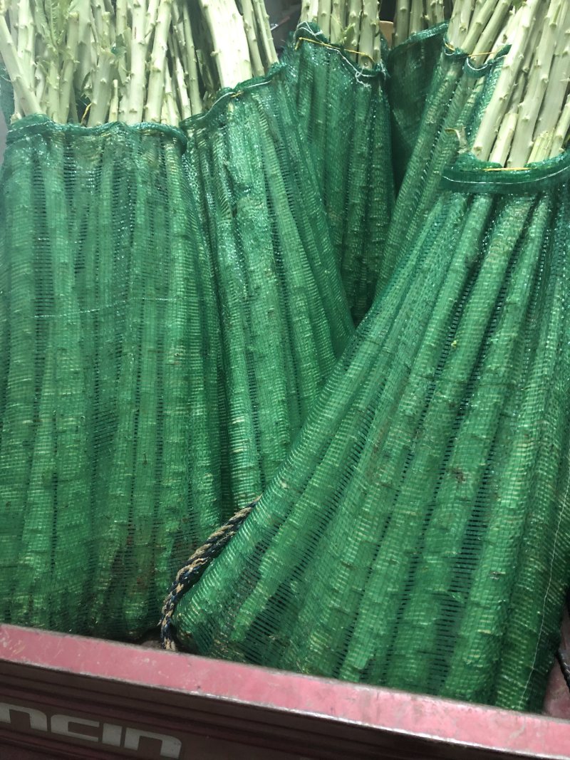 大理宾川贡菜粗度3-6cm长度40cm起步