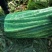 大理宾川贡菜粗度3-6cm长度40cm起步