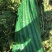 大理宾川贡菜粗度3-6cm长度40cm起步