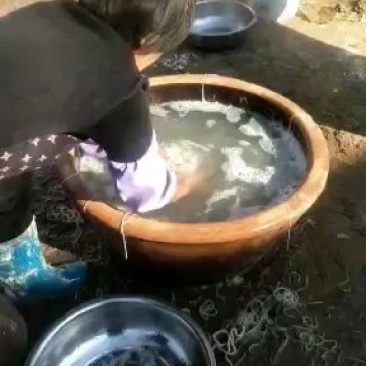 农家纯手工地瓜粉条