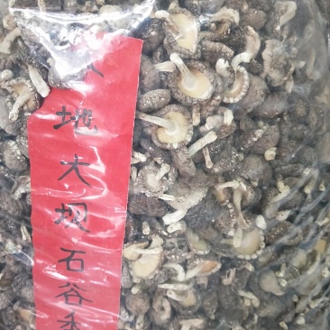 本地菇，香味超浓郁原木冬菇口感特别的好