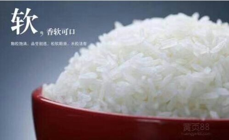 大米