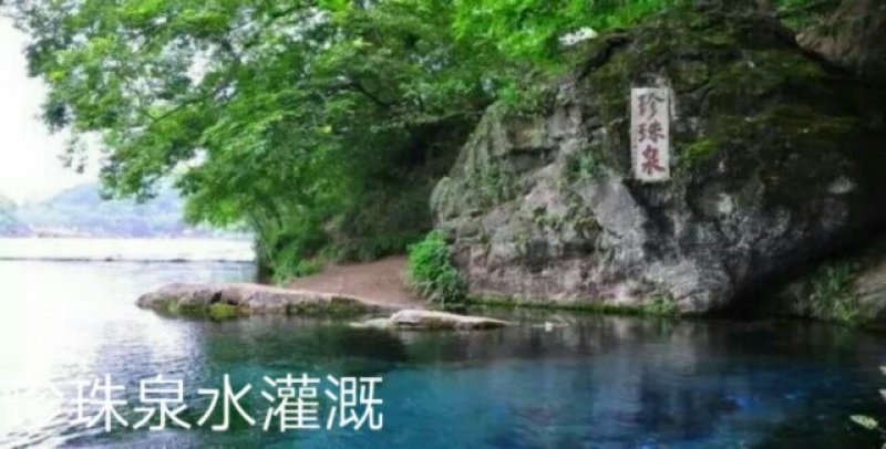 大米