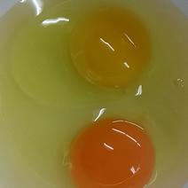 土鸡蛋，鲜鸡蛋，价格，49—50斤一箱