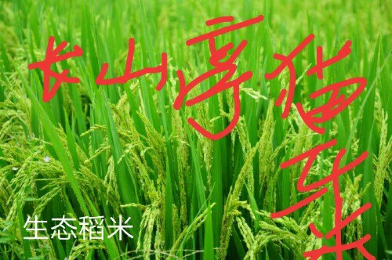 大米