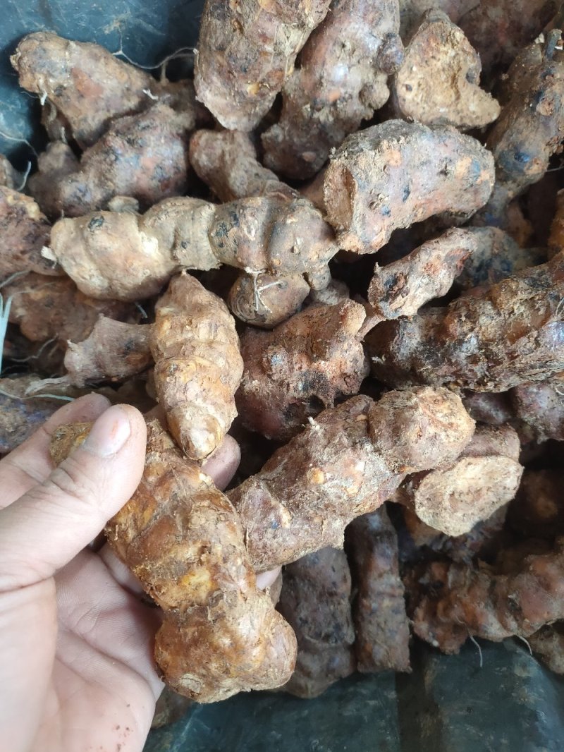 肇庆土茯苓(粉质本地货，不变色，长期有货)