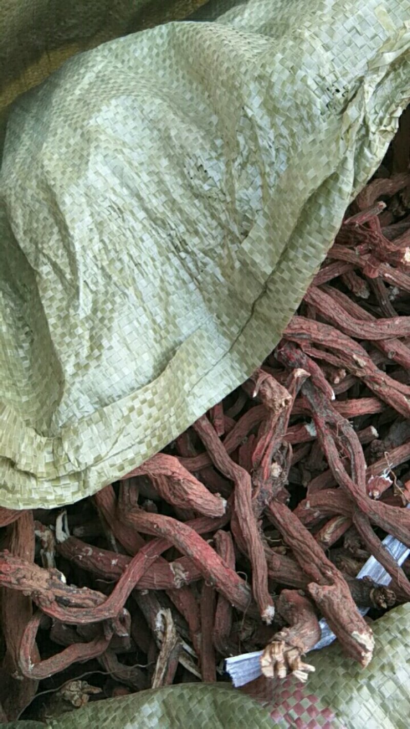 山东丹参大条，丹参片，色红干度好，含量高杂质少，无硫