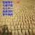 党参甘肃白条党参沙县小吃党参煲汤冬季滋补汤