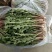 蒲公英，养生野菜，祛火去湿，冬季上鲜，全年无休，一直有货