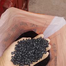 精选黑豆，专门做豆芽、豆苗的，质量好，价格优。