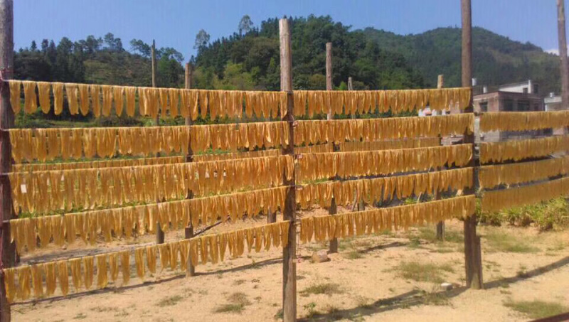 腐竹