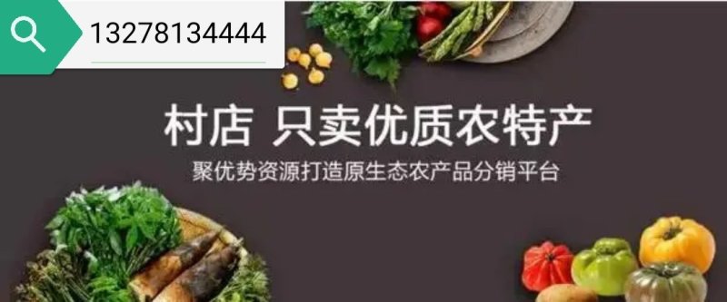 开口榛子东北开口榛子包邮