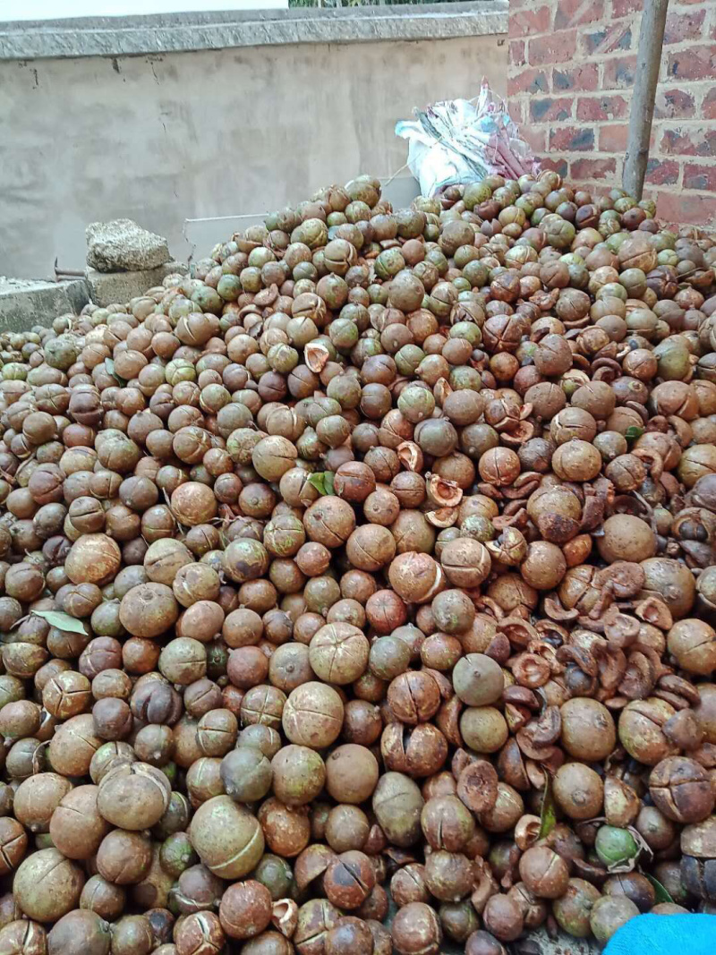 2019新自家现榨山茶油，原始熬炼，天然无添加