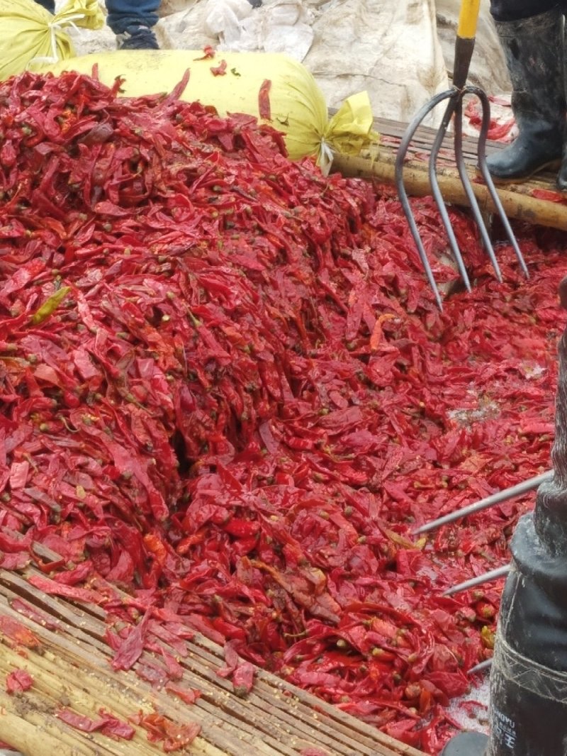 腌制辣椒