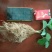脱毒草莓苗繁育基地章姬草莓苗现挖现发确保品种根系发达