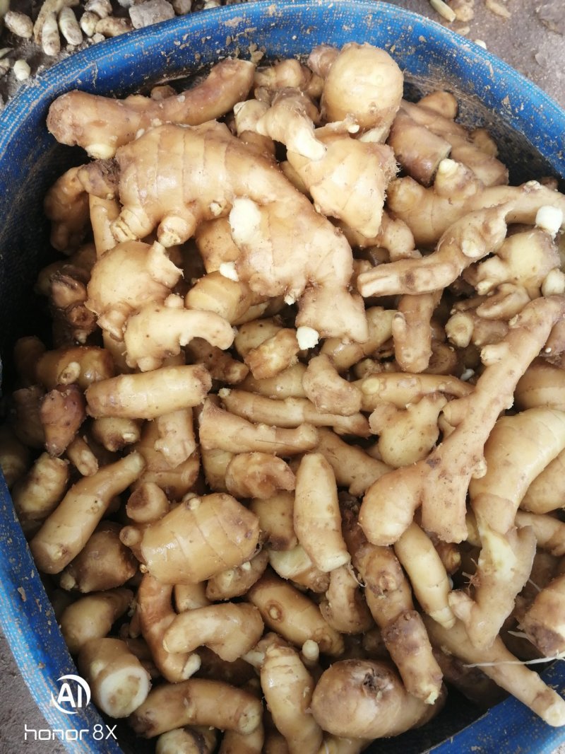 调料货，姜巴，水洗，大小不烂！经过挑选，