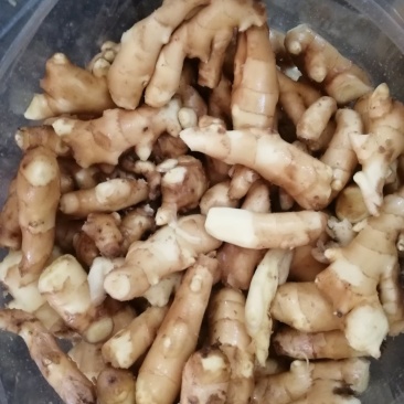姜，姜巴，三两左右！个大，质量好，精品姜头