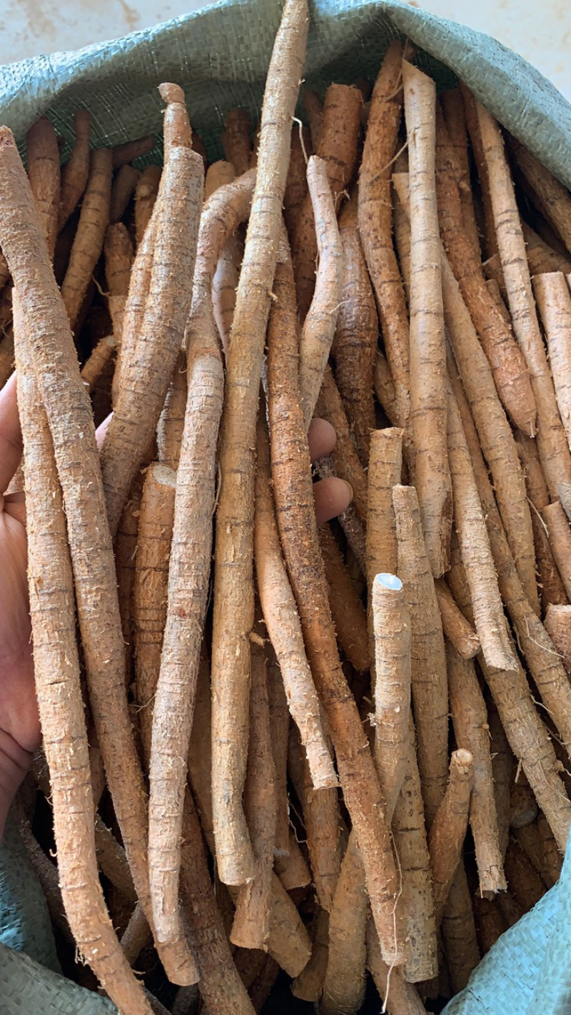 新鲜牛大力（长期供货）全粉质薯产地直销靓规格